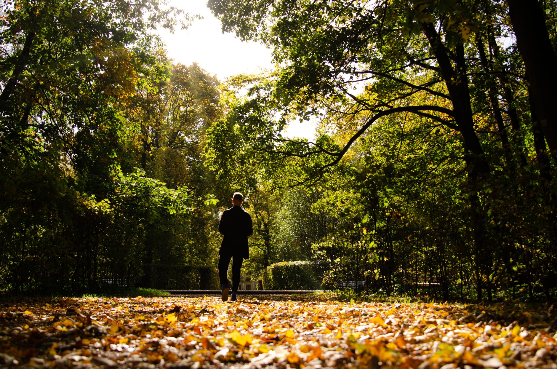 Man wandelt alleen over een bospad vol herfstbladeren